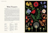 Botanicum