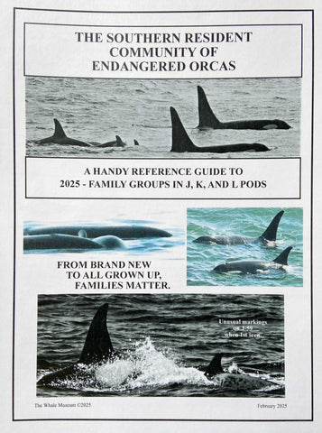 2025 SRKW Family Groups Guide
