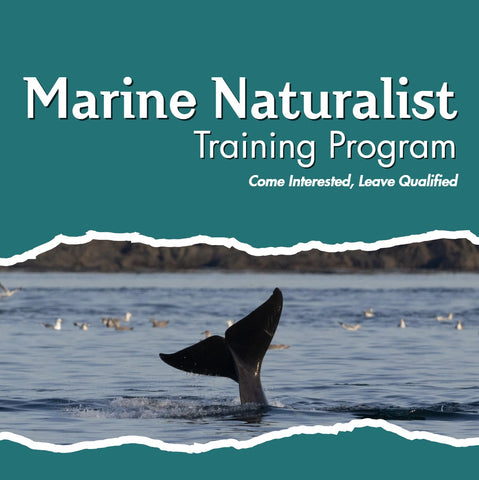 2026 Marine Naturalist Training Program