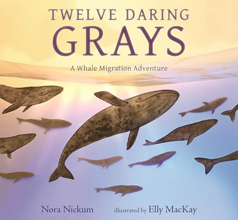Twelve Daring Grays