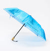Cognitive Surplus Umbrella Cephalopods