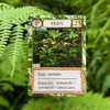 Ecologies: Hidden Habitats Card Game