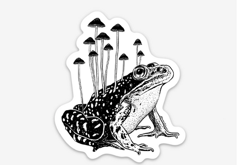Mushroom Frog
