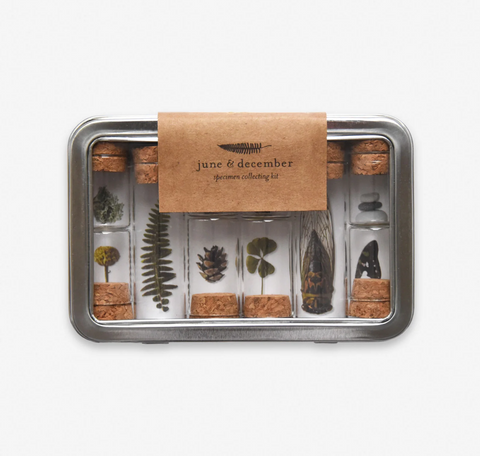 June & December Collecting Kit