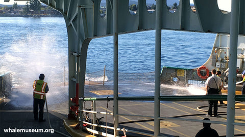 On The Ferry Background