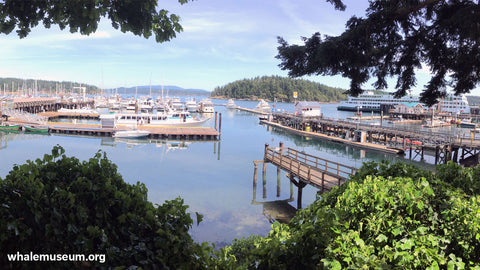 Friday Harbor Background