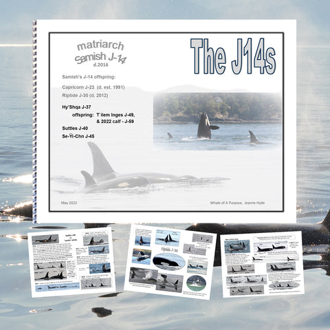 A Glimpse into the Lives of J-14 and Her Family