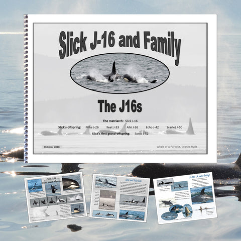 A Glimpse Into the Lives of the J 16s: Slick and Family