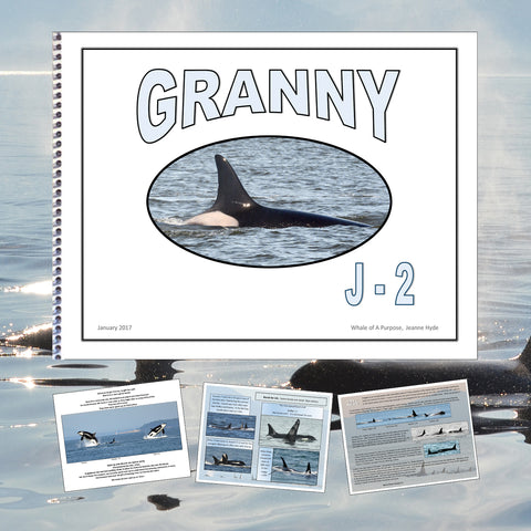 A Glimpse Into the Life of Granny (J-2)