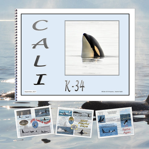 A Glimpse Into the Life of Cali (K-34)