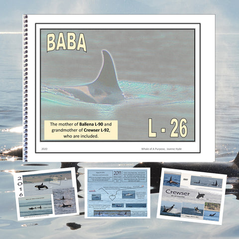 A Glimpse into the Life of Baba (L-26)