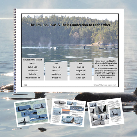 The L2s, L5s, L54s and Their Connection to Each Other