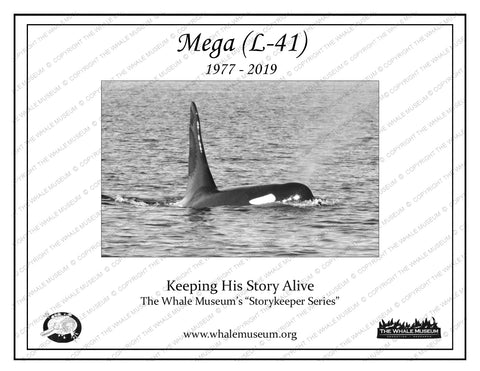 Mega (L-41) Storykeeper