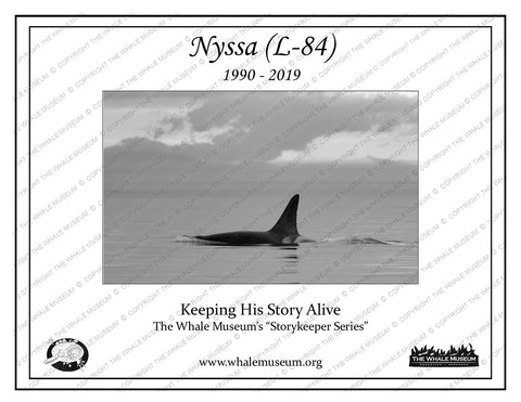 Nyssa (L-84) Storykeeper