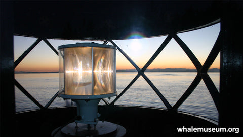 Lime Kiln Light Background