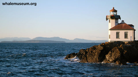 Lime Kiln Lighthouse Background