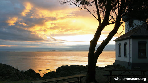 Sunset Behind Lime Kiln Background