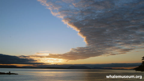 Low Island Sky Background