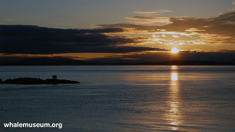 Low Island Sunset Background