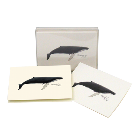 Illustrated Boxed Note Cards