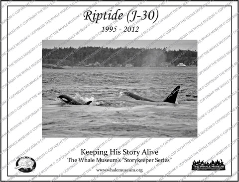 Riptide (J-30) Storykeeper