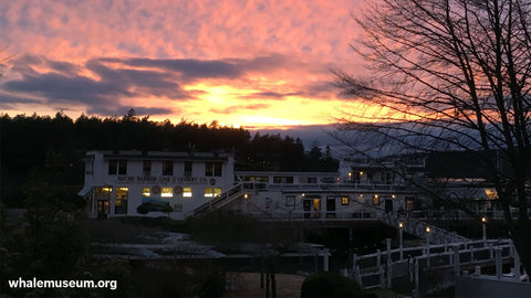 Roche Harbor Background