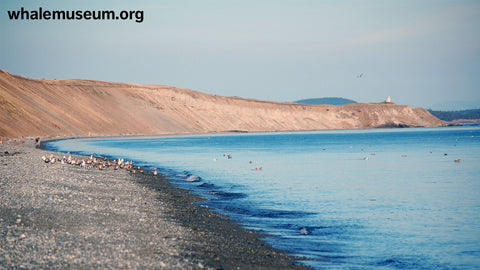 South Beach Background