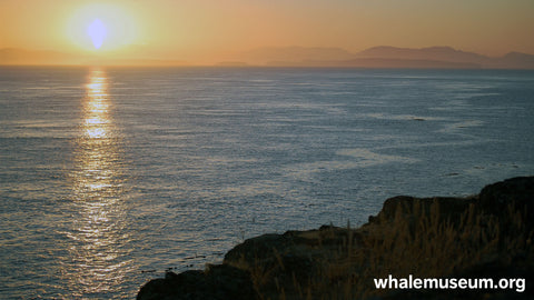 West Side Sunset Background