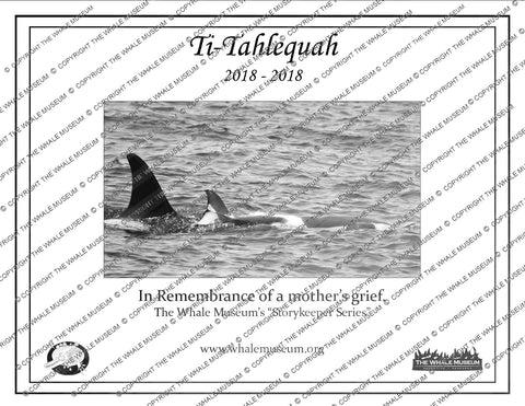 Ti-Tahlequah Storykeeper