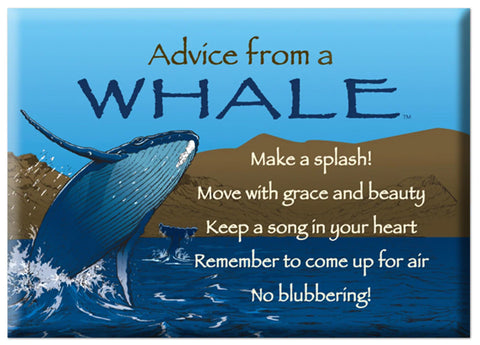 Advice from Nature Magnets