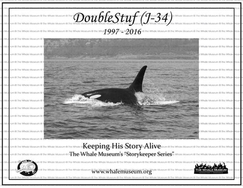 DoubleStuf (J-34) Storykeeper
