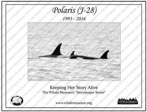 Polaris (J-28) Storykeeper