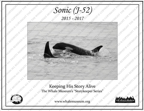 Sonic (J-52) Storykeeper